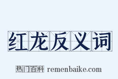 红龙反义词是什么意思的图片